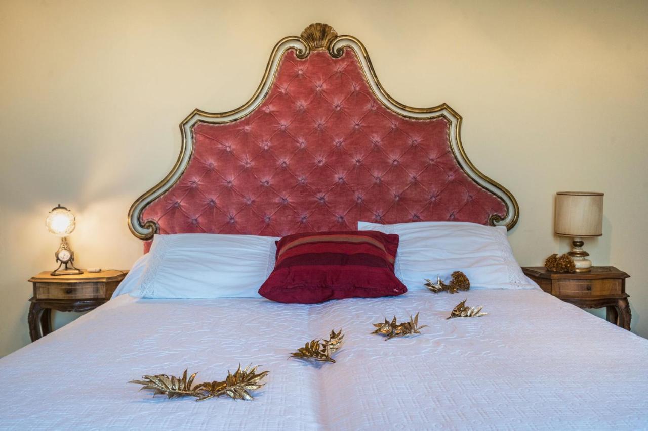 Villa Ines Charme Near Lucca Алтопашо Екстериор снимка