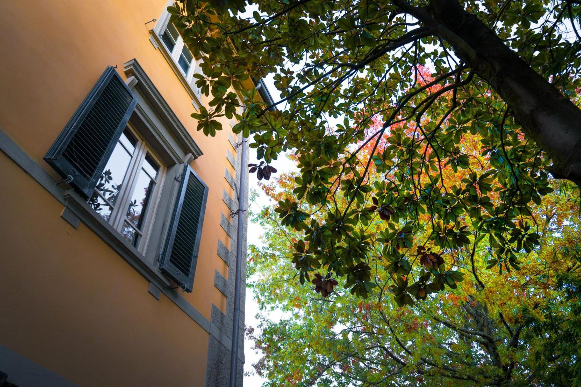 Villa Ines Charme Near Lucca Алтопашо Екстериор снимка